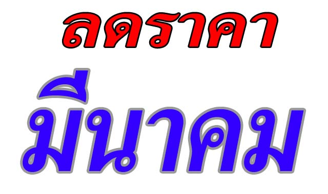 ŴҤ͹ չҤ ( SALE )
